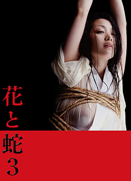 花与蛇3在线观看_日本_2010