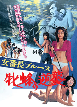 女番长布鲁斯：雌蜂的逆袭在线观看_日本_1971